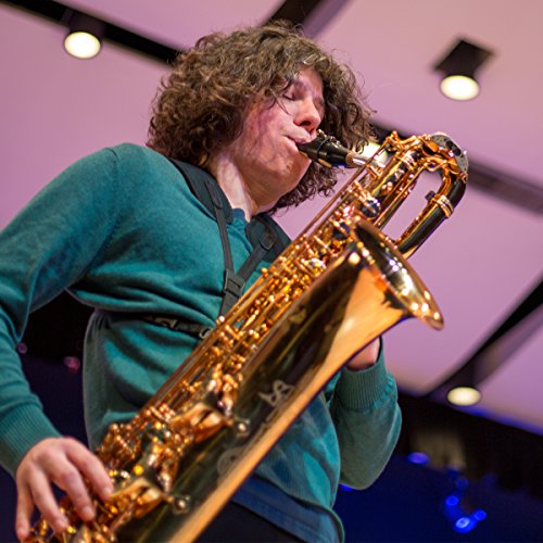 neotech super harness - regular - swivel hook - saxophone strap  adjustable strap for bass clarinet harness saxophone accessories black - made in usa