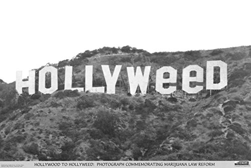 Studio B Hollyweed Poster Poster