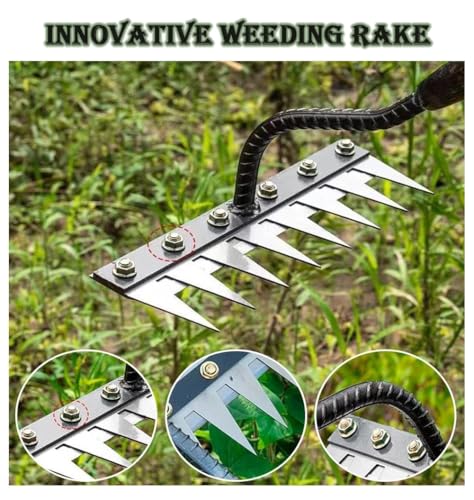 WFXXZL Iron Weeding Rake Heavy Duty Landscaping Rake Carbon Steel Garden Hand Rake with 5/6/7/8 Teeth, for Lawn Care, Soil Loosening & Weed Removal(5 Teeth) - Image 4