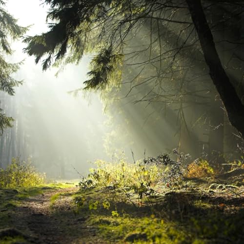 MM Show (30) 20.06.24 - Interview with young Carla and Jack, and also Elaine from 'My Guyz'