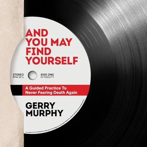 And You May Find Yourself Audiolivro Por Gerry Murphy capa