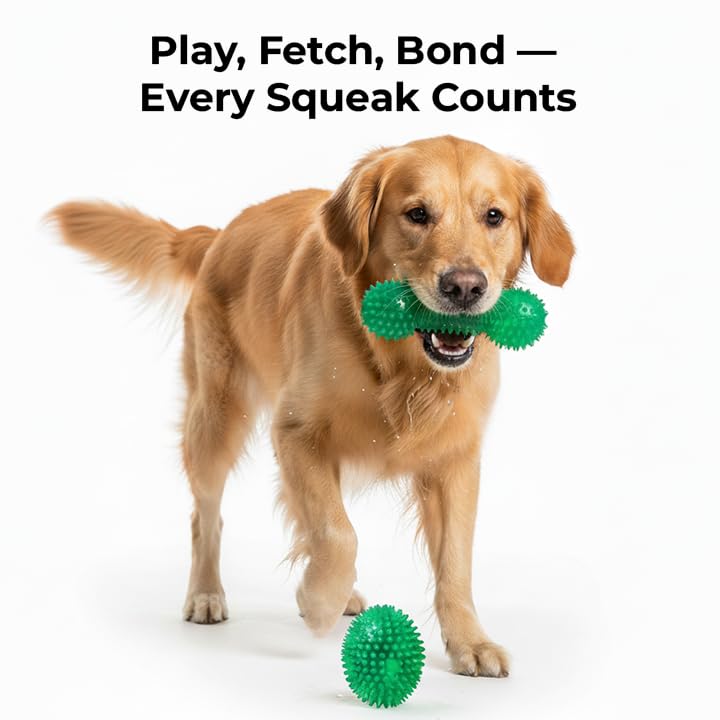 Image of Pet Squeaky Chew Toy Dumbbell for Dogs - Durable, Non-Toxic Interactive Toy for Chewing, Playing, and Teeth Cleaning-Multicolor