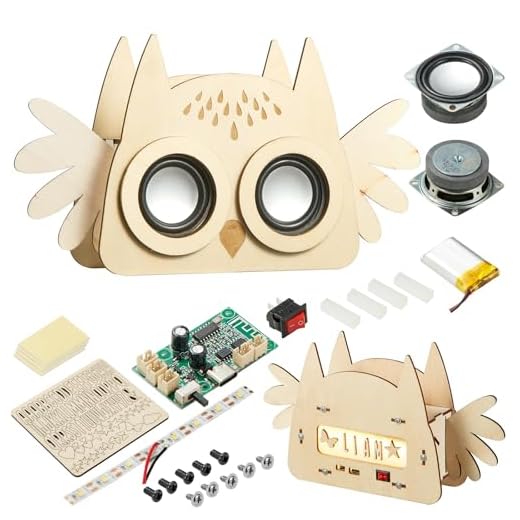 Oewdjao STEM Projects for Kids & Adults Build Your Own Bluetooth Speaker Science Physics Experiment Electronics Kit DIY Set Idea for 8 9 10 11 12 13 Years Old Gifts for Boys & Girls