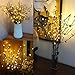 AMARS 2 Pack Decorative LED Lighted Branch Lights Battery Operated Artificial LED Twig Branches Decoration for Home Room Decor Christmas Vase (Warm White, 29.5 Inches, 20leds)