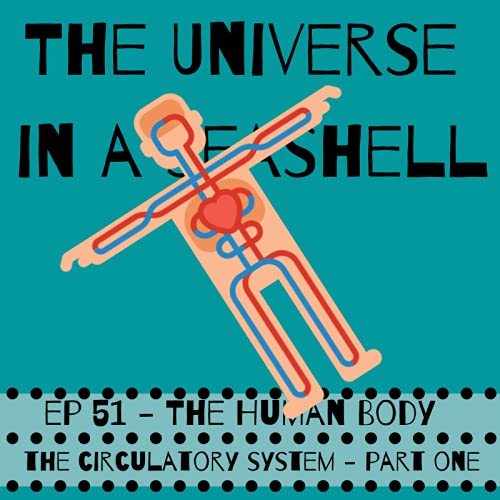 Page de couverture de The Human Body – The Circulatory System – Part One