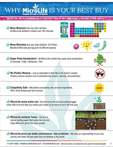 MicroLife Cactus & Succulent Fertilizante Líquido Orgánico 1 Qt miniatura 4