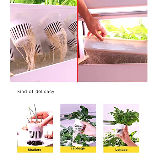 Kit de culture hydroponique à 3 niveaux avec 90 espaces de plantation pour la maison et le bureau, idéal pour la culture des légumes