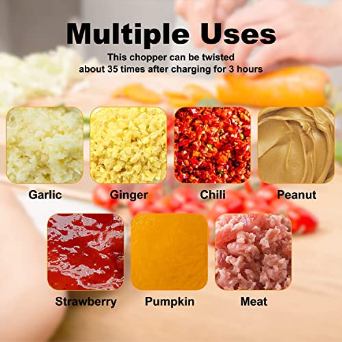 Mini Electric Garlic Chopper, Portable Food Processor, Usb Mini Food Chopper Garlic Mincer, Food Chopper For Vegetable, Pepper, Onion, Baby Food, Seasoning, Nuts (White) #TOP3