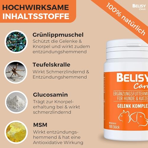 BELISY natürliche Gelenktabletten für Hunde - mit Grünlippmuschel, Glucosamin, Teufelskralle & MSM - Gelenk & Knochenschutz Tabletten für Hunde Gelenk Komplex (150g)