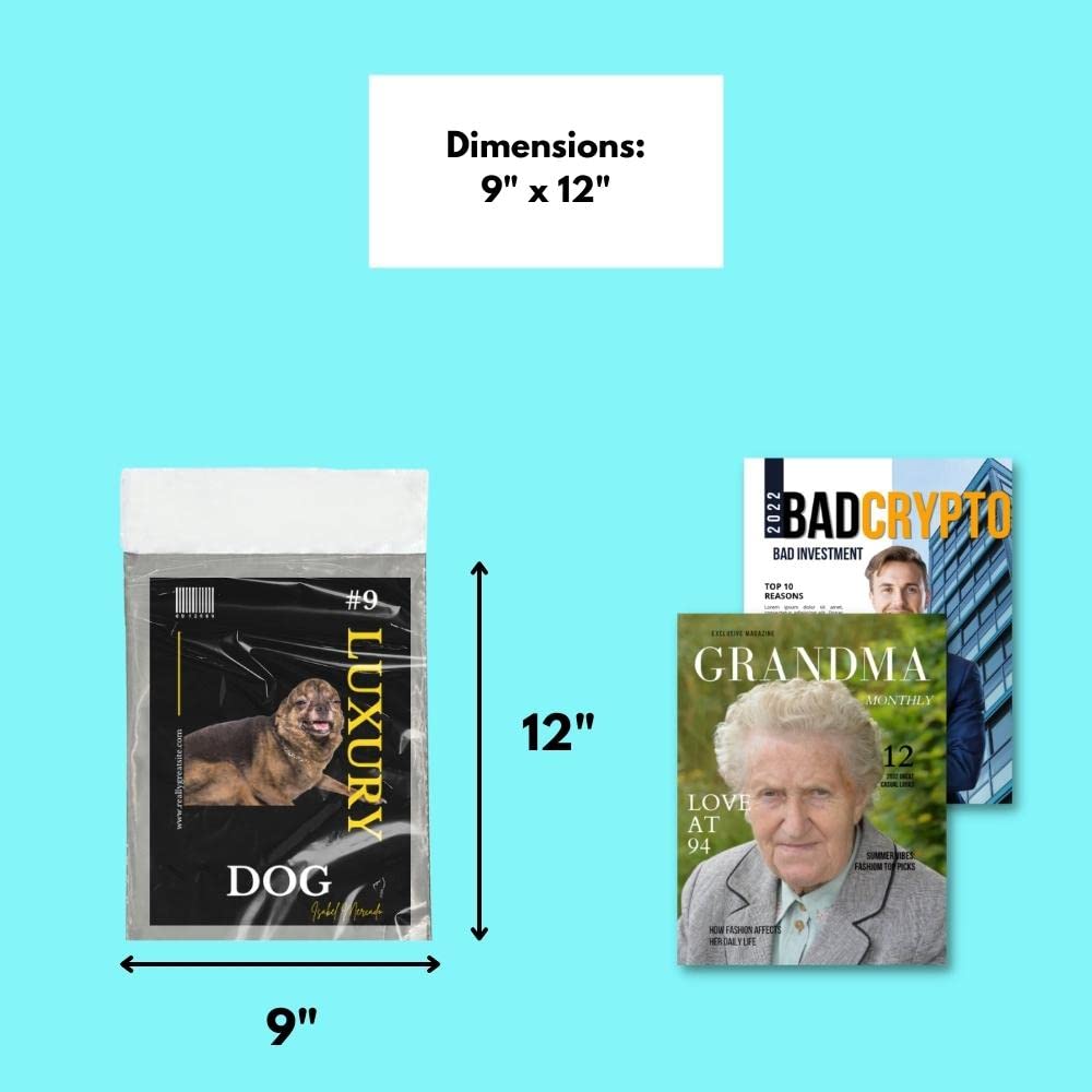 PSBM Clear Poly Mailers, 9x12 Inch, 200 Pack, Shipping Envelope with Transparent Side & Grey Side, Great for Clothing, T-Shirt, Catalog