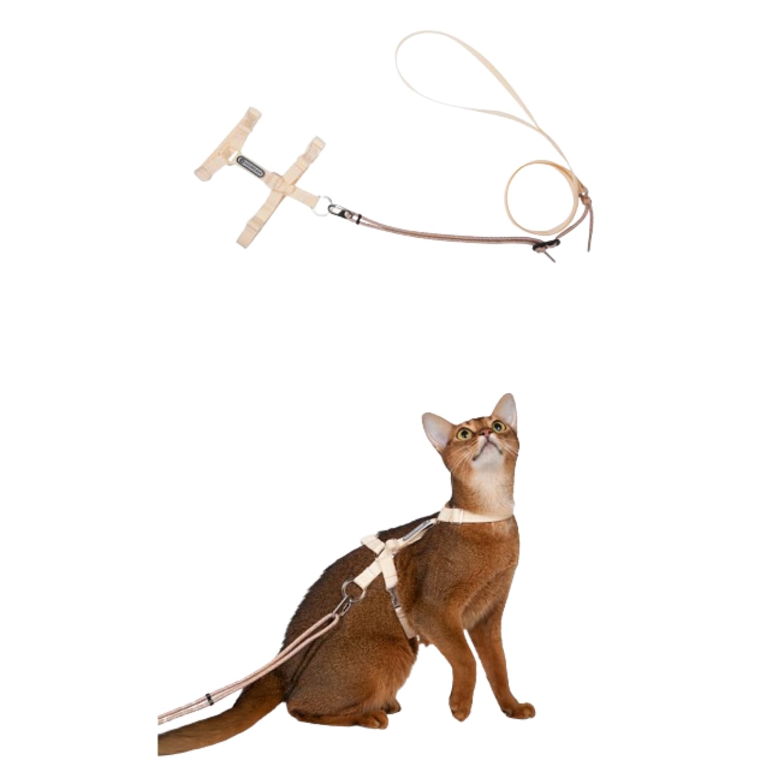 Amazon | 猫 ハーネス＆リード キャットハーネス リード セット 安心