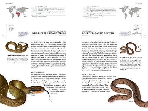 The Book of Snakes: A life-size guide to six hundred species from around the world