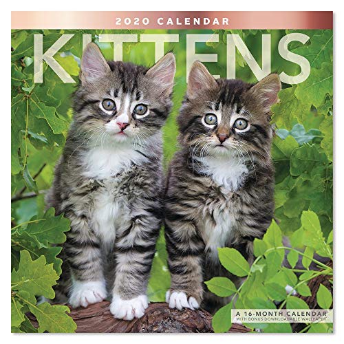 Best Mobile Calendar