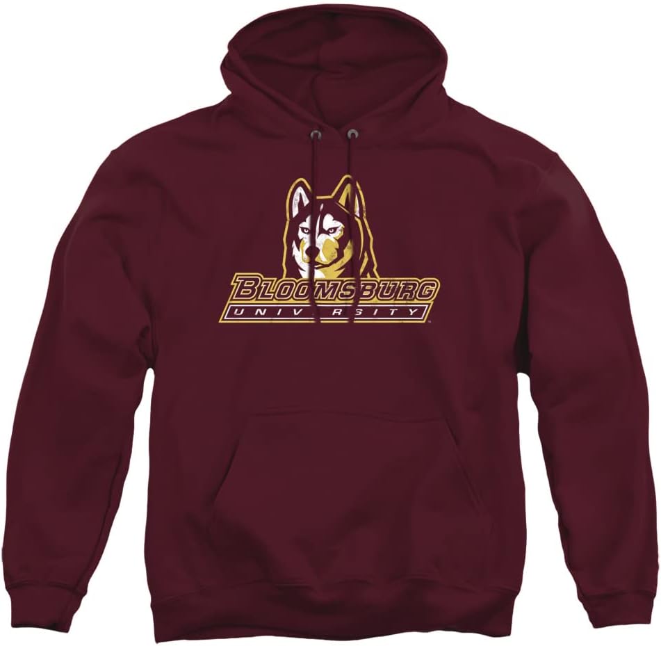 LOGOVISION Official Collegiate Distressed Primary Logo Adult Pullover Hoodie Collection