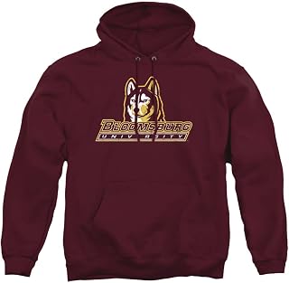 LOGOVISION Official Collegiate Distressed Primary Logo Adult Pullover Hoodie Collection