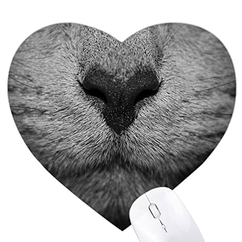Tapis de souris coeur personnalisé photo de chat le cadeau idéal pour amoureux des animaux