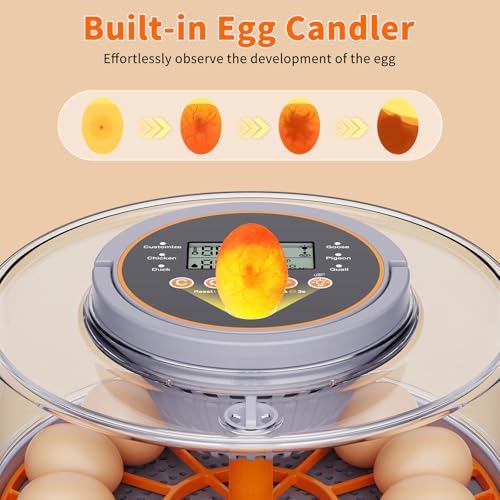 12 Egg Incubators for Hatching Eggs, Automatic Egg Turning & Humidity Control Intelligent Temp Eggs Candler for Chicken Quail Duck etc. Eggs, Suit for Beginner Backyard Hobbyist Students Education — view 3