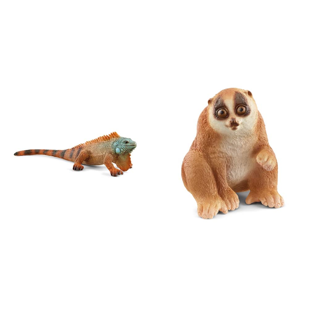 SCHLEICH Wild Life Figuren: Schnabeltier & Plumplori – Detailgetreue Spieltiere Für Kinder Ab 3