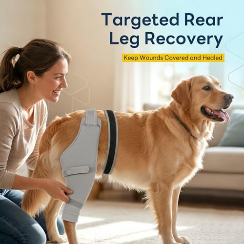 Image of Dog Sleeve for Rear Legs to Stop Licking, Upgraded Recovery Sleeve for Hind Back Leg Wounds,TPLO, ACL Surgery, Light Comfortable Cone Alternative, Right,2XL, Grey
