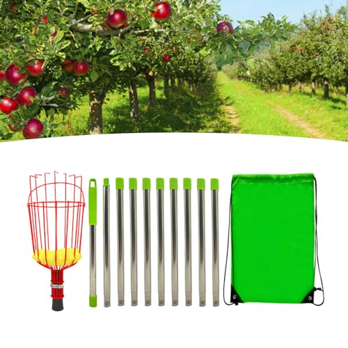 Recolector de frutas 5 Imagen adicional