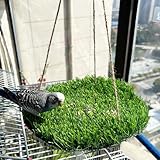 FlidRunest großes Vogel-Spielzeug zum Futterfangen, Natürliches Vogelgras-Hängesessel-Schaukelspielzeug mit Haken, Terrarium Hängematte, für Einsiedlerkrebse, Bartagame, Eidechse, Gecko, Schlange