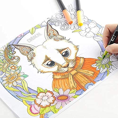 Image of Dudustrong Art Markers Dual Tips Coloring Brush Fineliner Color Water Based Marker Pens Set For Calligraphy Drawing Sketching Bullet Journal (Black,12)