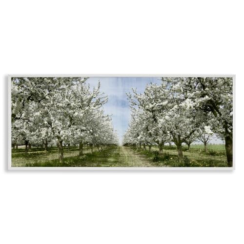 Stupell Industries Blooming White Flower Buds Trees Orchard Meadow, Design by Kim Allen