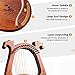 Lyre Harp, 16-String Harp Solid Wood Mahogany Lyre Harp with Tuning Wrench, Pick,Strings, Black Gig Bag and Instruction Manual for Beginners Instruments Lovers (coffee color)