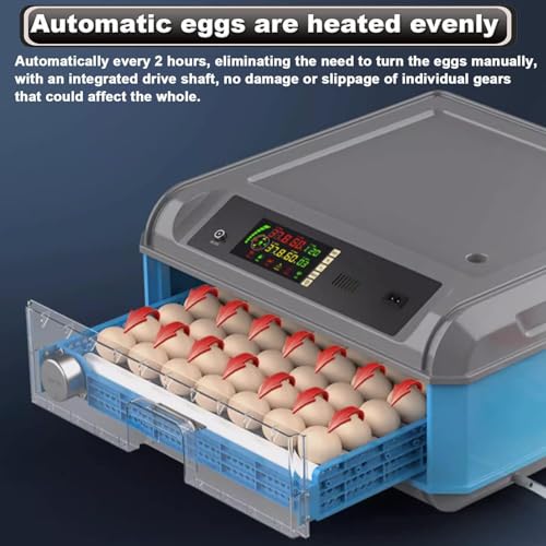 Incubatrice digitale per pollame, tornitura automatica con controllo dell'umidità, ideale per cova uova di pollo, quaglia, anatra e uccelli