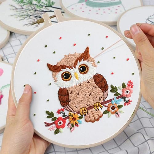 Image of Louise Maelys Owl Embroidery Kits for Beginners with Floral Pattern,Adults Starter Cross Stitch Kit DIY Needlepoint