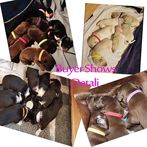 Whaline 15 Colors Puppy Id Collars Whelping Dog Band Newborn Soft Fabric Adjustable Identification Collar For Pet Dog Cat #TOP3