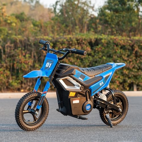 24V Electric Dirt Bike for Kids, 250W Chain Drive Motor, Magnesium Alloy Wheels, Pneumatic Tires,...