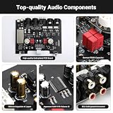 W pełni zbalansowany przedwzmacniacz lampowy AIYIMA T20 LME49720 do domowego sprzętu HiFi Mini przedwzmacniacz lampowy z wejściami i wyjściami RCA i XLR oraz wyjściem wyzwalającym 12 V