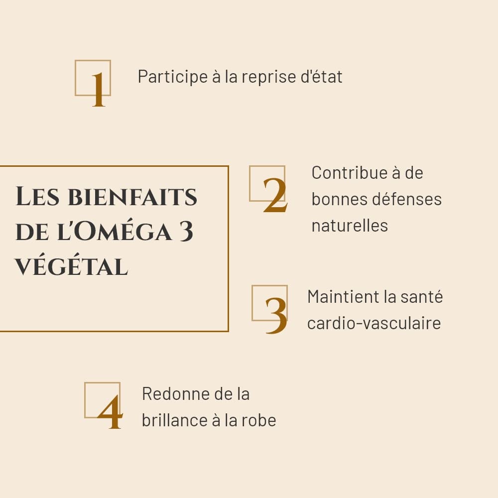 OMEGA 3 VEGETAL - Complément nutritionnel Cheval - Huile de lin et Huile d'algue riches en oméga 3 - Flacon 250 ml - Reprise d'état chevaux - Brillance de la robe - Marque Française