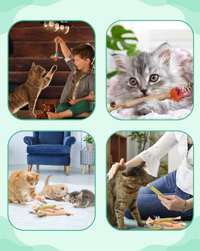 ERKOON 4 Stück Katzenminze Spielzeug, Kausticks für Katzen, Cats Dental Care Spielzeug, Chew Stick Help with Tartar & Bad Breath Healthy Hygiene