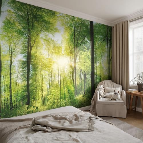 Ilustraciones de pared Armonía del bosque 152x104 cm en vinilo mate 3