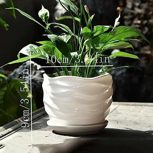 Pots de fleurs design de vague pour succulentes sur table basse de salon - 3