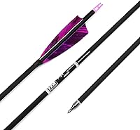 Vista 6 de Flechas de carbono de 31 pulgadas para práctica de caza con escudo de 4 pulgadas, 500 flechas para arco recurvo arco compuesto arco largo