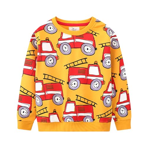 Boys Sweatshirts Casual Sweatshirts Cotton Sweatshirts Long Sleeve T-shirts Crew Neck Cartoon Tops for Boys-64