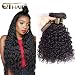 QTHAIR 12A Brazilian Water Wave Hair Weave Bundles Human Hair (22" 20" 18",300g,Natural Black) 100% Unprocessed Brazilian Water Wave Human Hair Weave Bundles