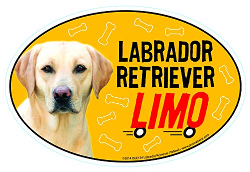 Imán de coche Lab Retriever (Yellow) ovalado 6" x 4" miniatura 1