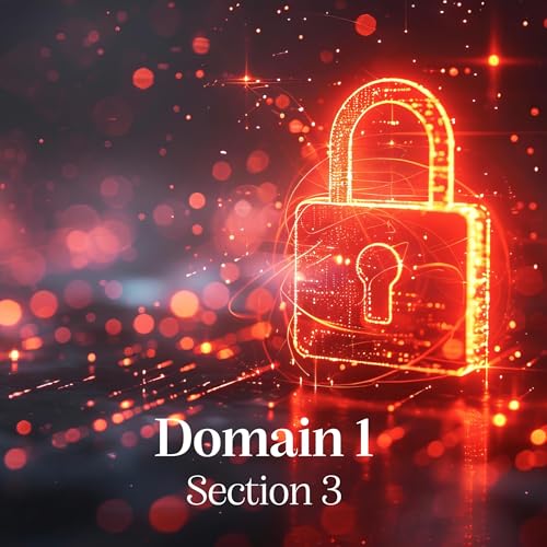 『CISSP Domain1 Section 3』のカバーアート