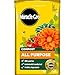 Price comparison product image Miracle-Gro Premium All Purpose Compost, PEAT FREE, 40 Litre