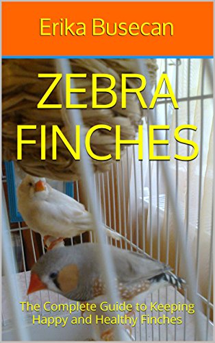 keeping zebra finches