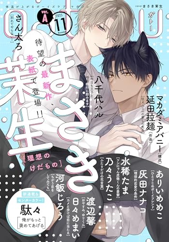 gateau (ガトー) 2025年11月号[雑誌] ver.A