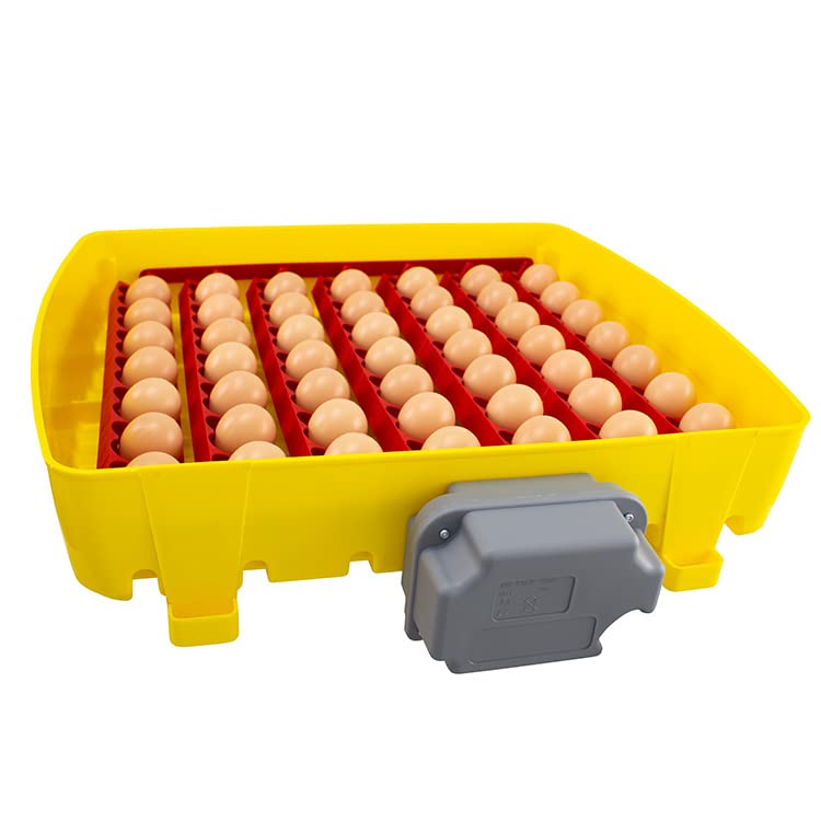 Incubadora de huevos digital ET49 con unidad de tornauova OVOMATIC y aditivo Biomaster™ - River Systems - capacidad 49 huevos de tamaño mediano/grande o 196 pequeños
