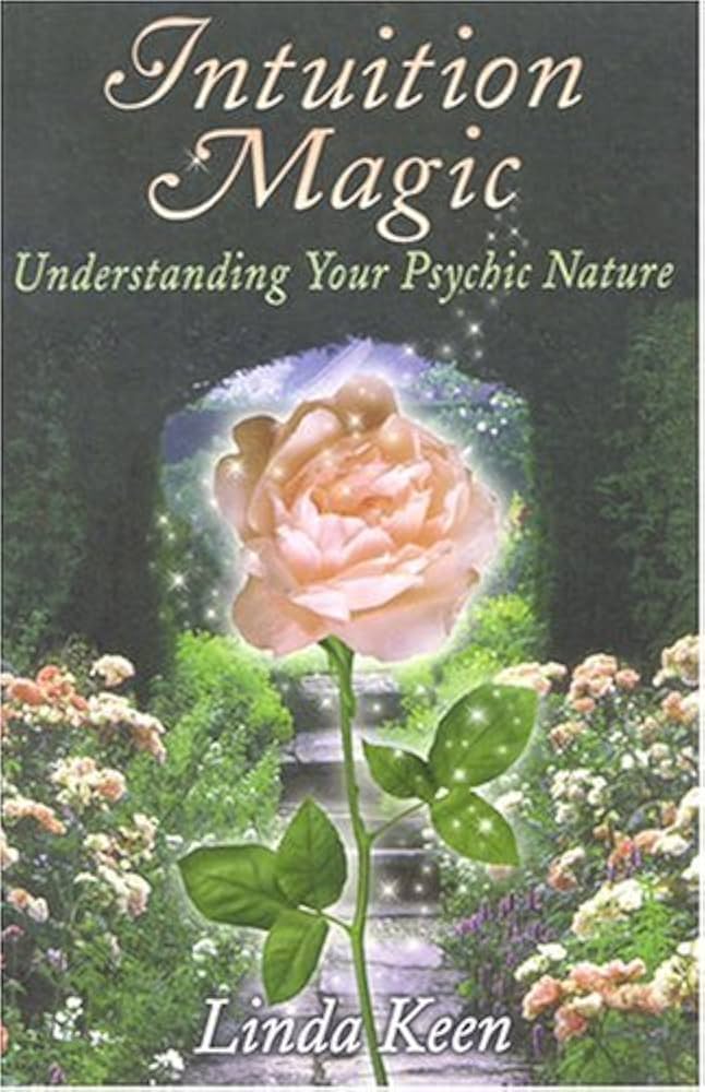 洋書 Intuitive Imagery 洋書 Intuitive Imagery I Ching (Book