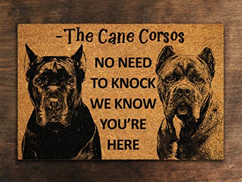 bnil Cane Corsos Funny Doormat, 16x24 Inch, Black