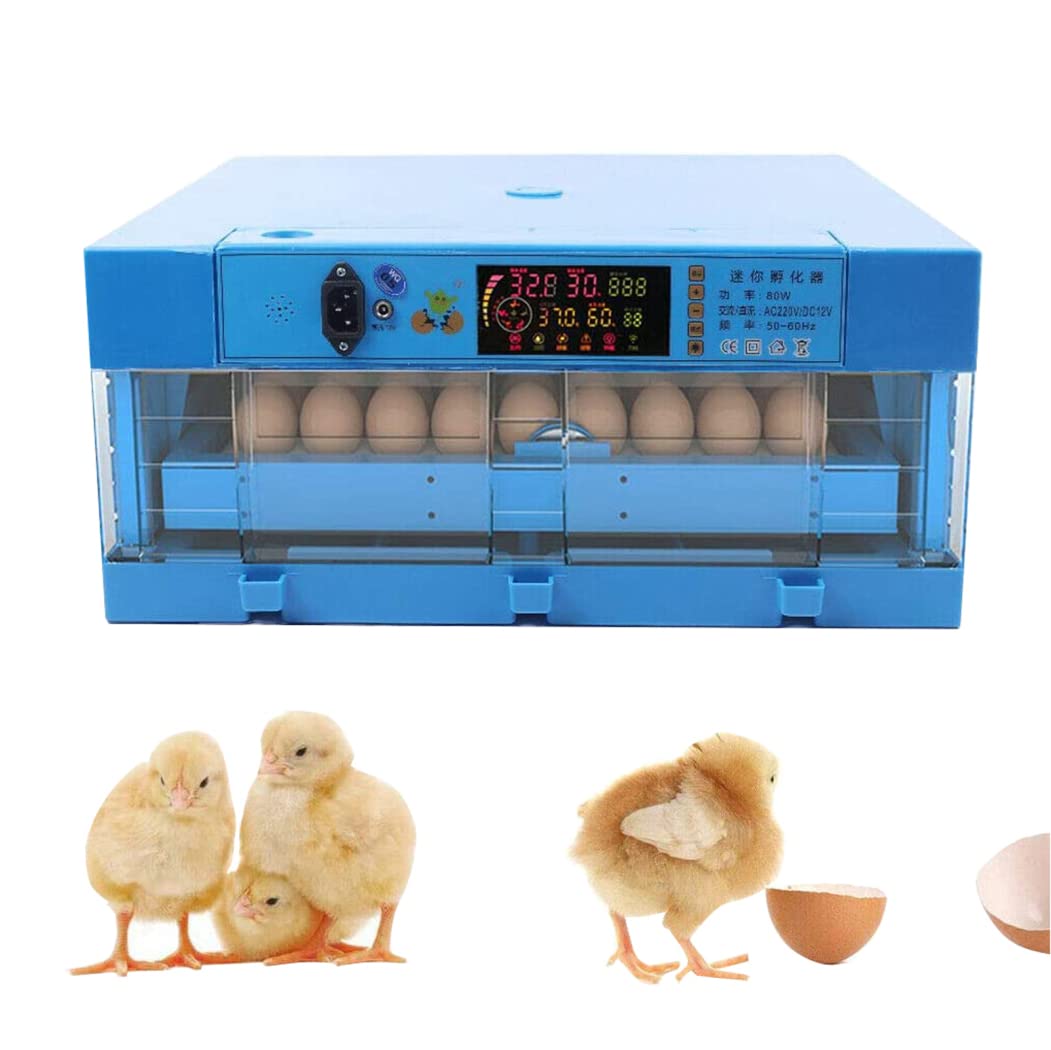 Eierbrutmaschine automatique 64 œufs avec écran digital pour incubation de volailles