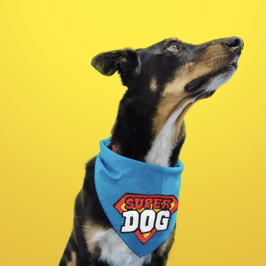 Image of TDIT Superdog Embroidered Bandana with Adjustable Dog Collar (Size Medium /Large)